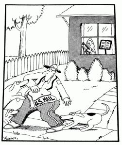 far side dog